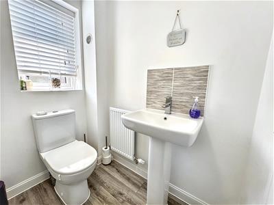 Picture 21